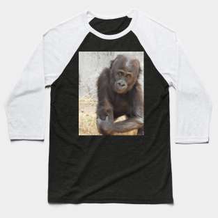 Western Lowland Gorilla Baseball T-Shirt